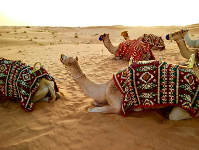 Dubai & Abu Dhabi Holiday – 6 Days / 5 Nights
