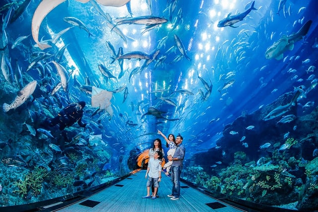 Fish Daubai.jpeg