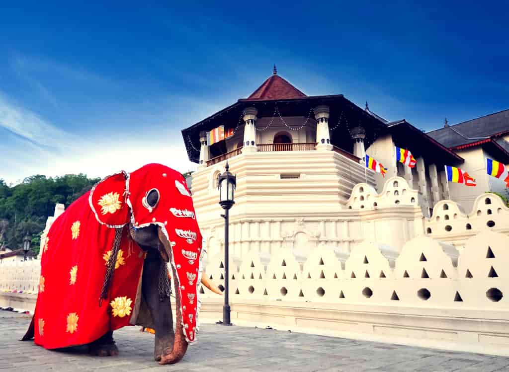 Immerse in Sri Lanka