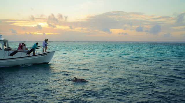 Maldives Holiday on Maafushi – 4 Days / 3 Nights
