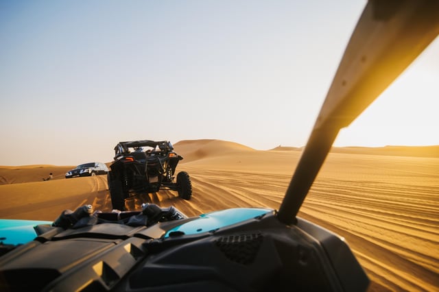 Desert Safari 2.jpeg