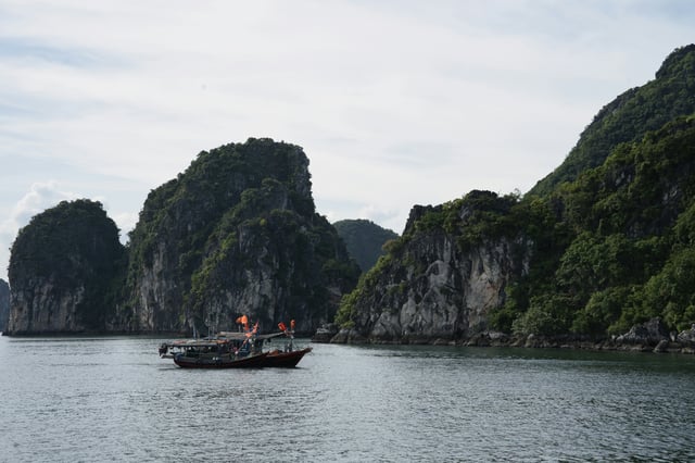 yu-dmtrtWgZwJY-unsplash.jpg