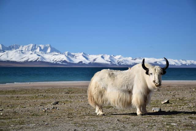 Kailash Mansarovar Yatra 13 N/14 Days