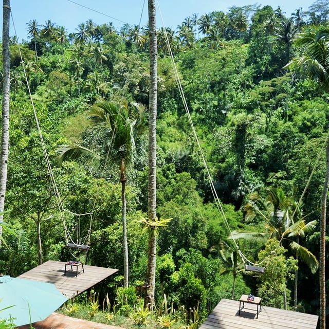 Bali Ping.jpeg