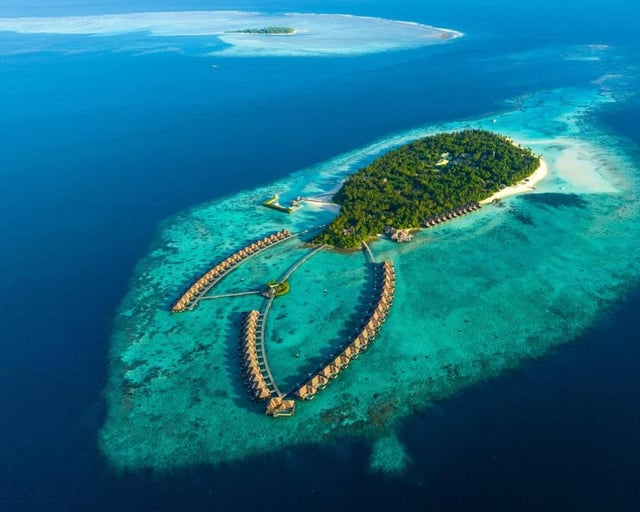 maldiveshoneymoon1.jpg