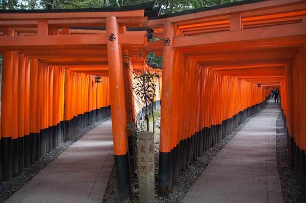 Tokyo, Osaka & Kyoto Tour – 8 Days / 7 Nights