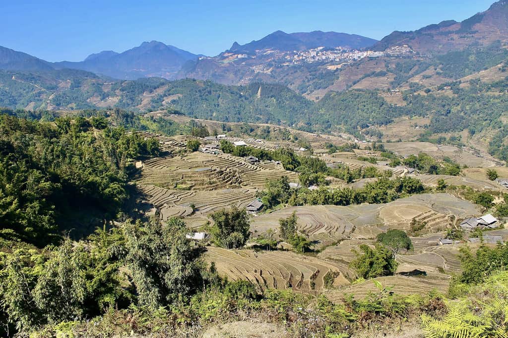 Rice terraces in the Sapa valley