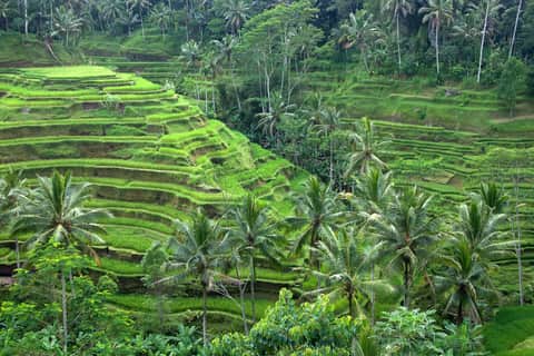 Bali, Singapore & Malaysia Tour – 10 Days / 9 Nights
