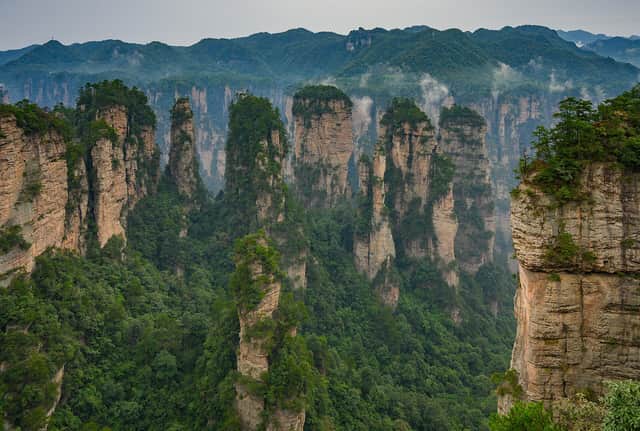 Forest of stone pillars that inspired Avatar's floating mountains