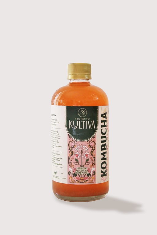 Kombucha Limonada de Fresa - Image 1