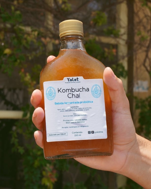 Kombucha - Image 1