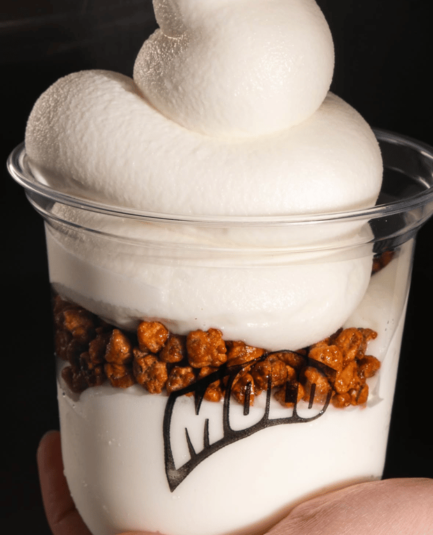 Frozen Yogurt Natural - Image 1