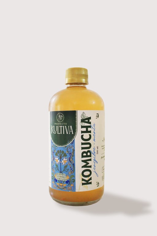 Kombucha Jengibre - Menta - Image 1