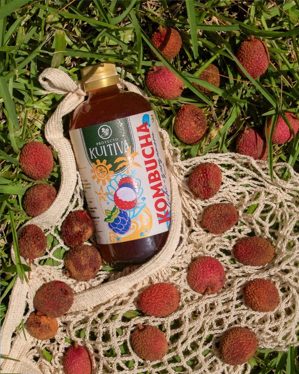 Kombucha Lichi - Zarzamora - Image 1