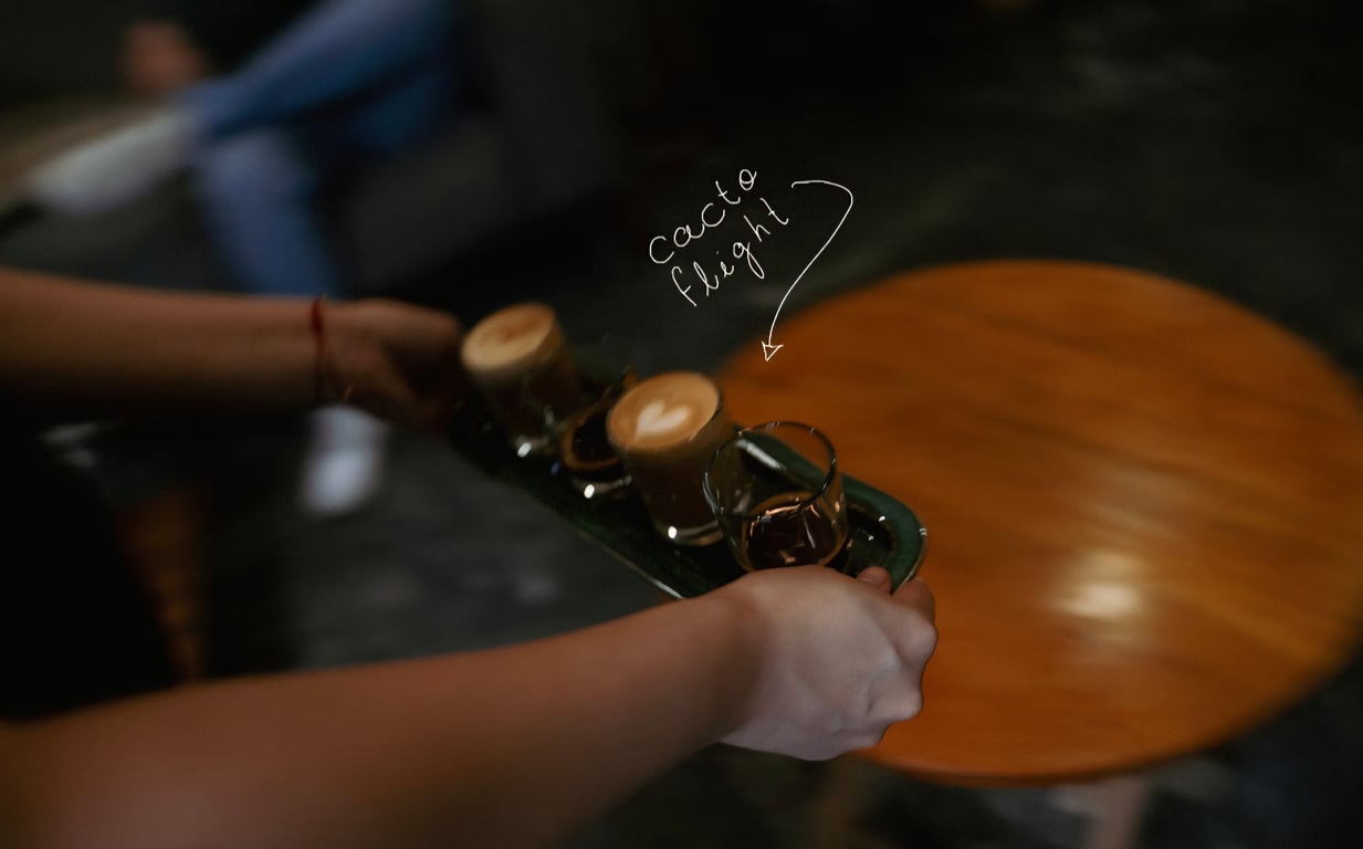 Cacto Flight