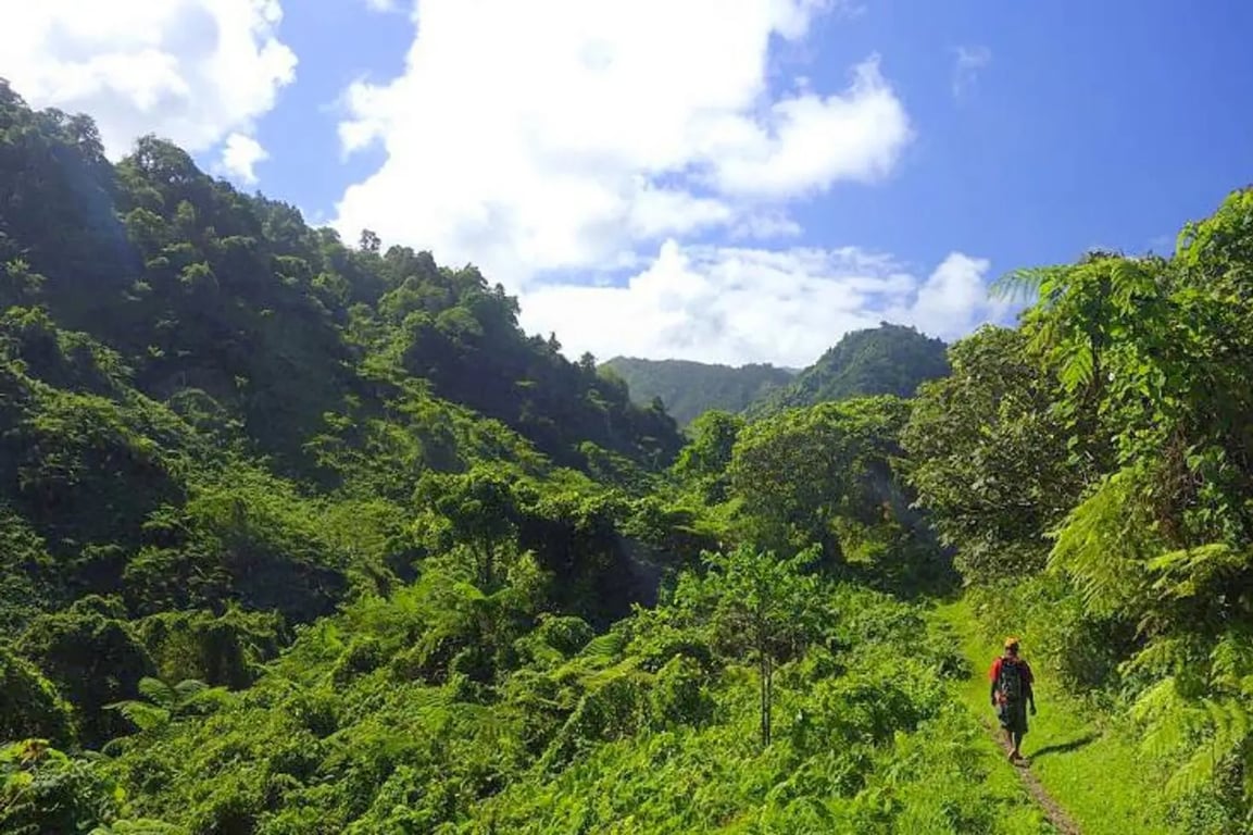 Lavena Coastal Walk