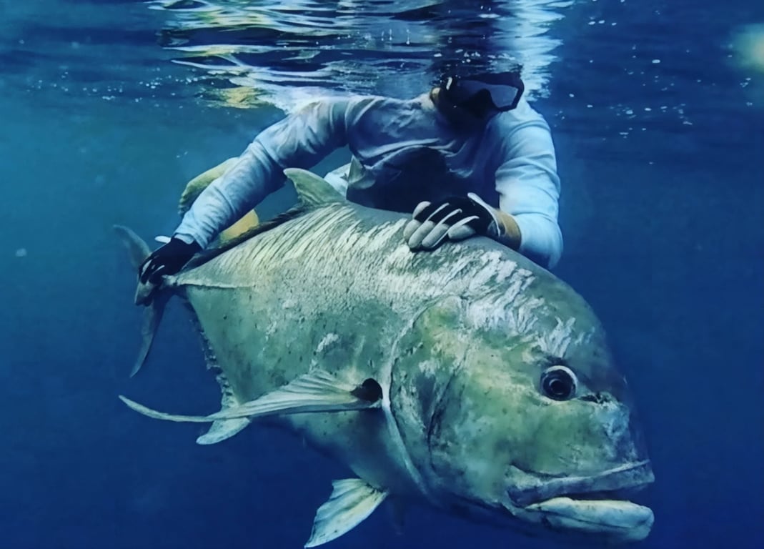 Nadi - Gateway to Fishing Adventures
