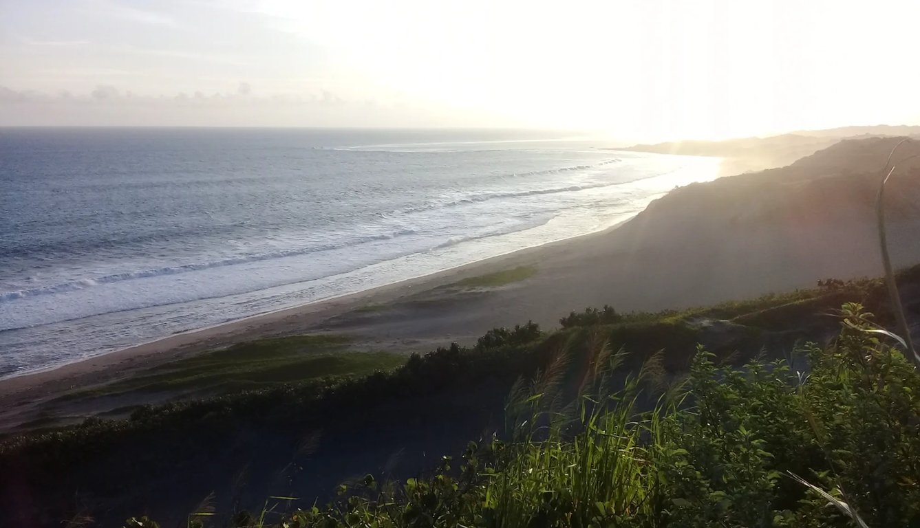 beach view from the top of the sand dune