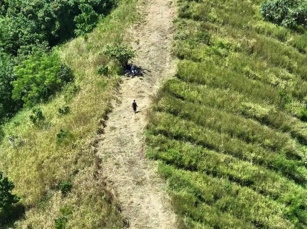 someone walking on a nature trail near the sigatoka dunes
