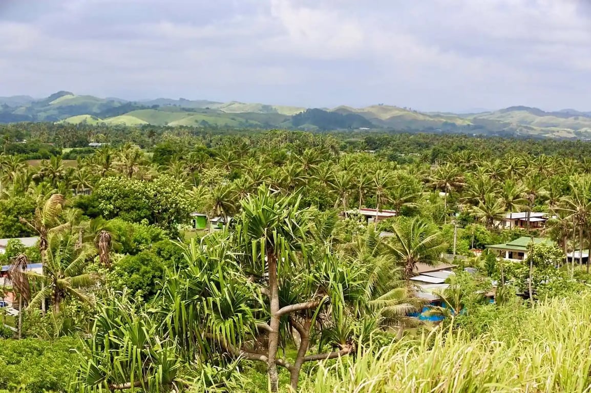 a picture of sigatoka with lush tropical vegetation