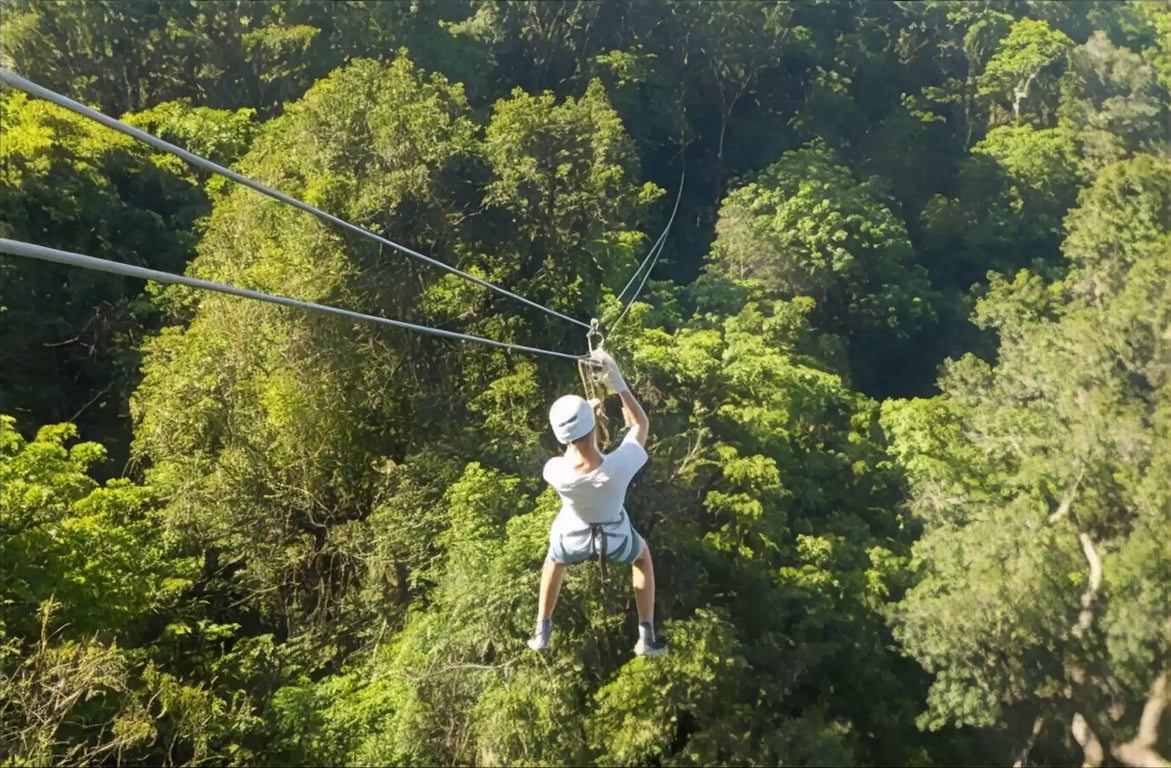 A person ziplining through the tree tops in Fiji
