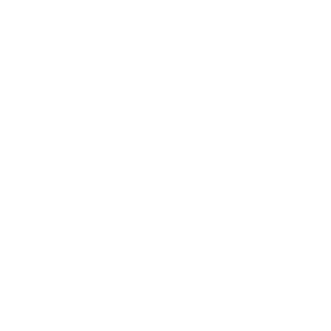 Gartner Strong Performer