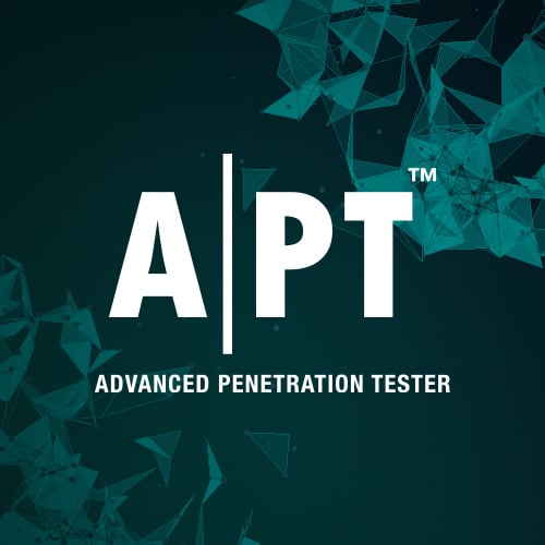 advanced penetration tester