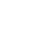 Play Icon