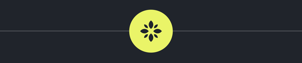 Divisor com logo do Seu Nutri app