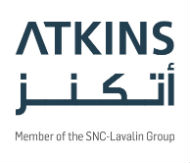 Atkins Logo