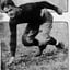Heinie Miller