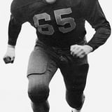 Joe Schmidt
