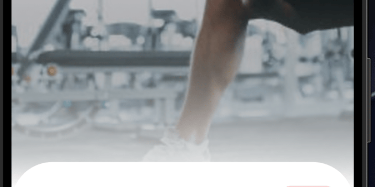 Tester - Tester - Main | GymLinx