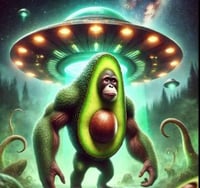 아보노노 심판지노노