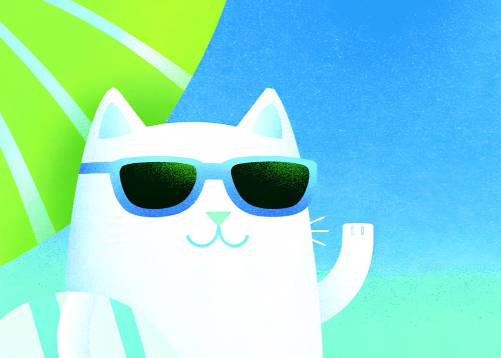 Cool Cat at the Beach