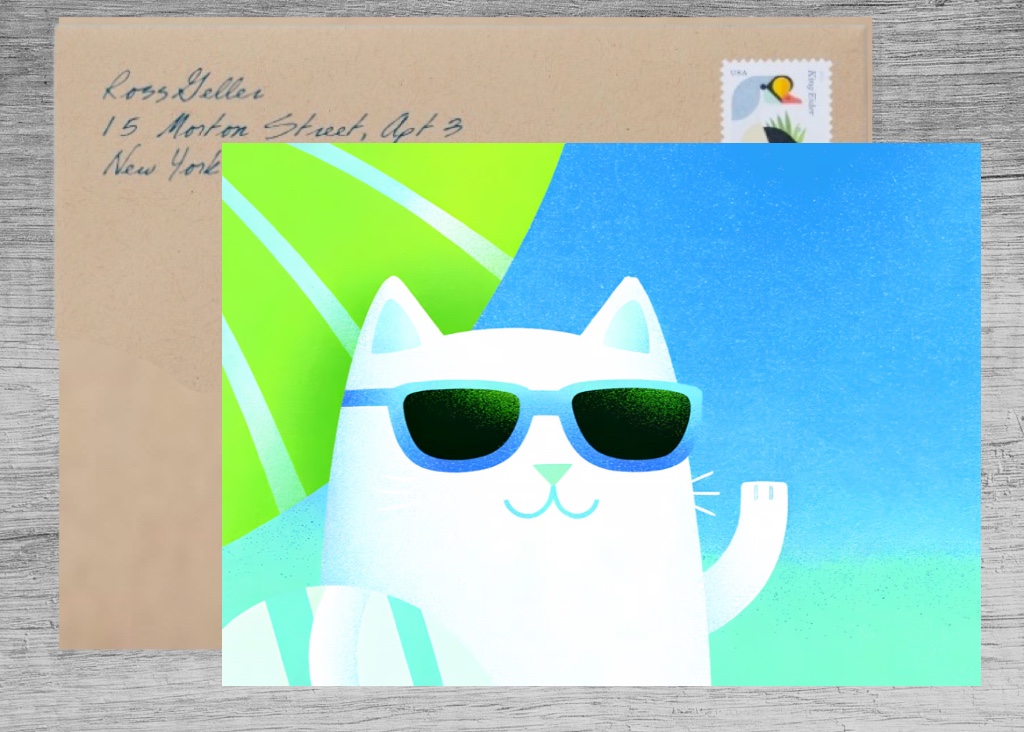 Cool Cat at the Beach