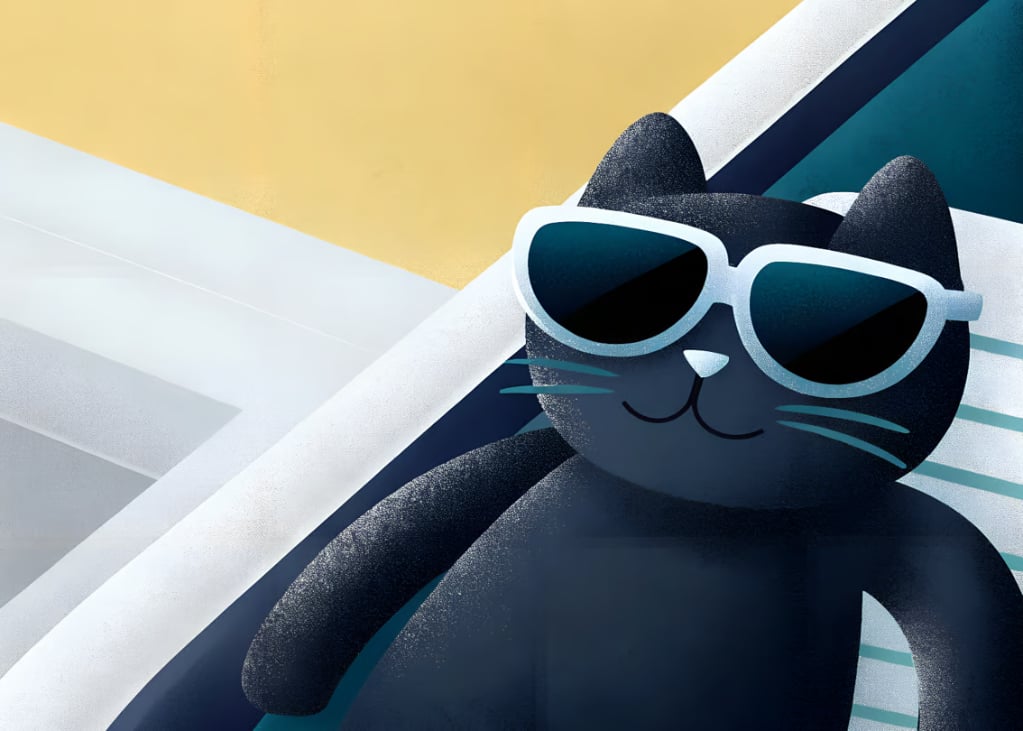 Cool Cat's Beach Day