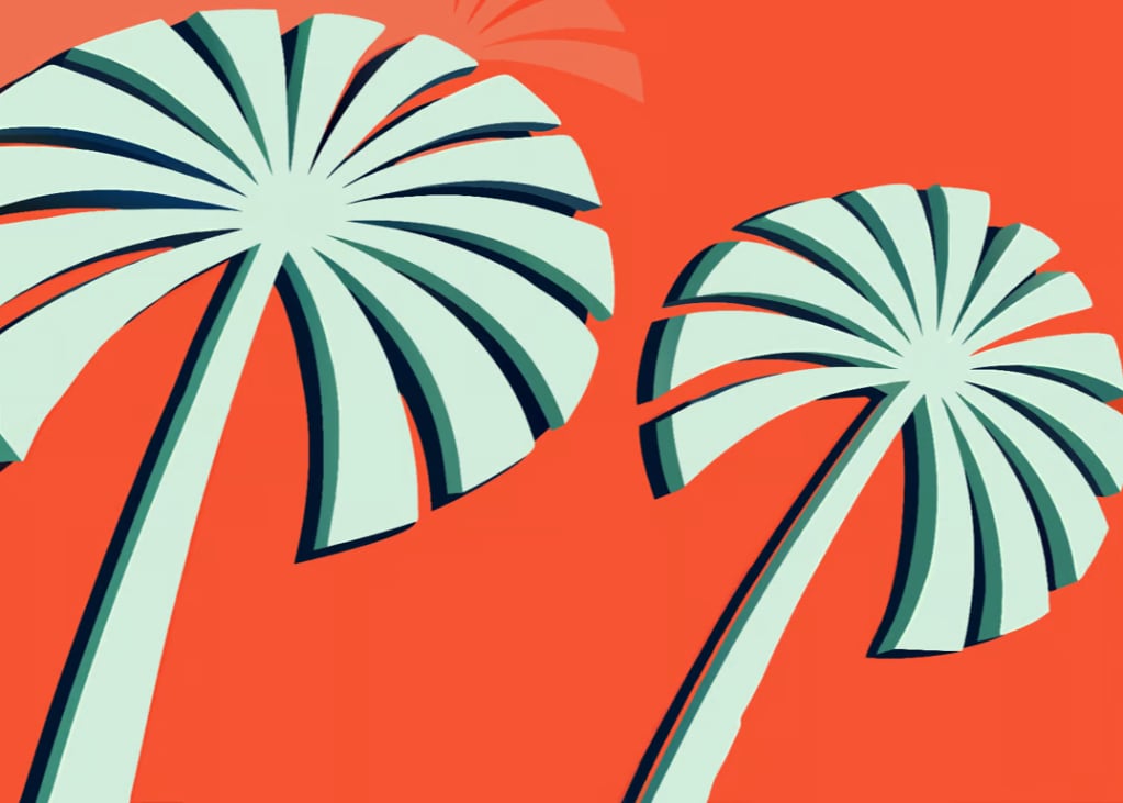 Wish You Were Palm Trees Away