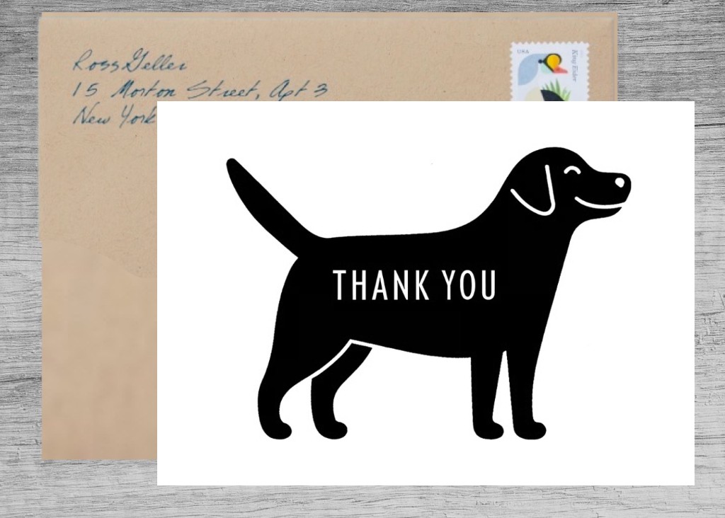 Thank You from My Furry Friend