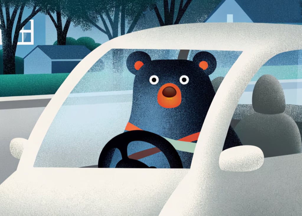 Bear-ly Driving: A Hilarious Greeting Card