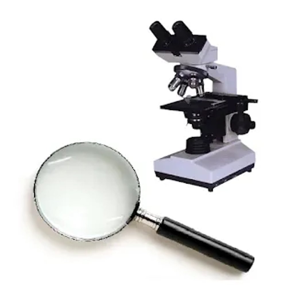 Magnifying glass beside a compound light microscope, illustrating simple magnifier versus microscope for viewing small objects.