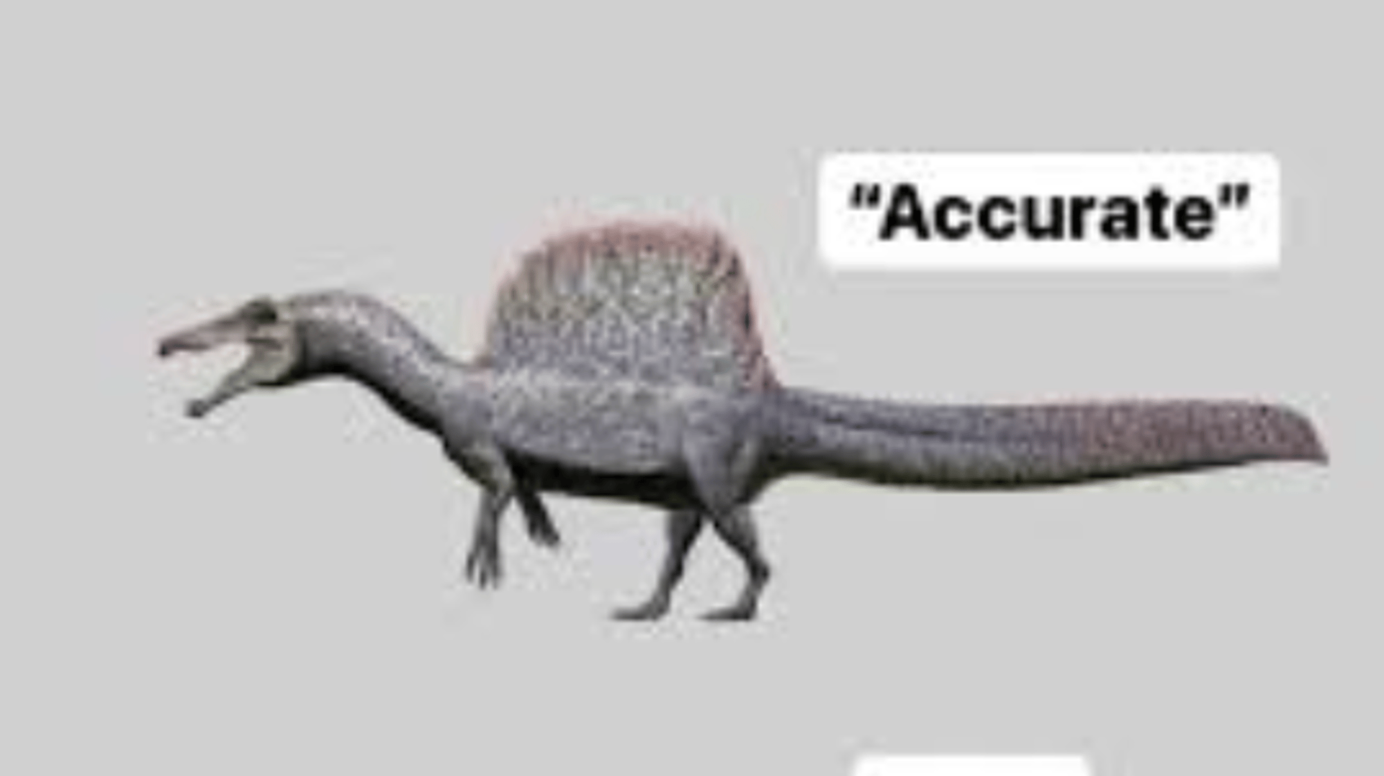 spinosaurus