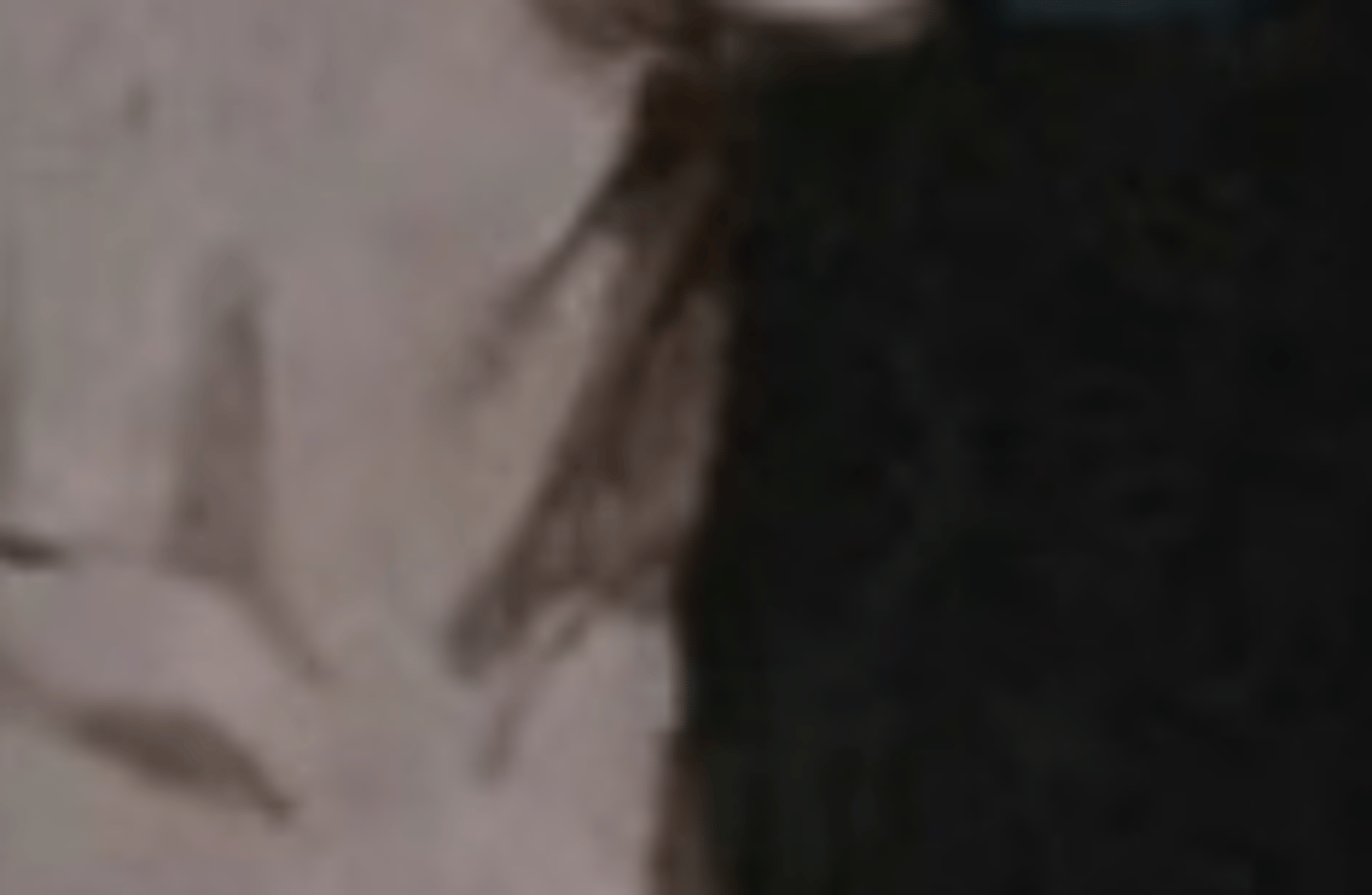 Ash