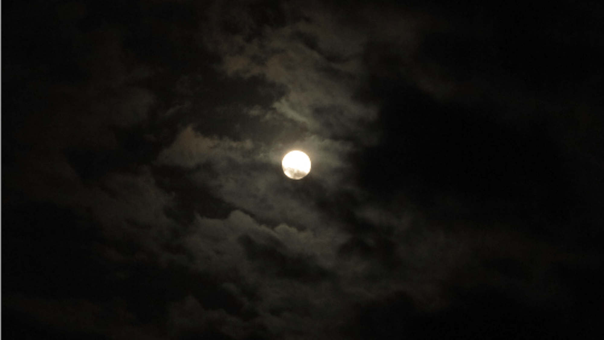 Dark