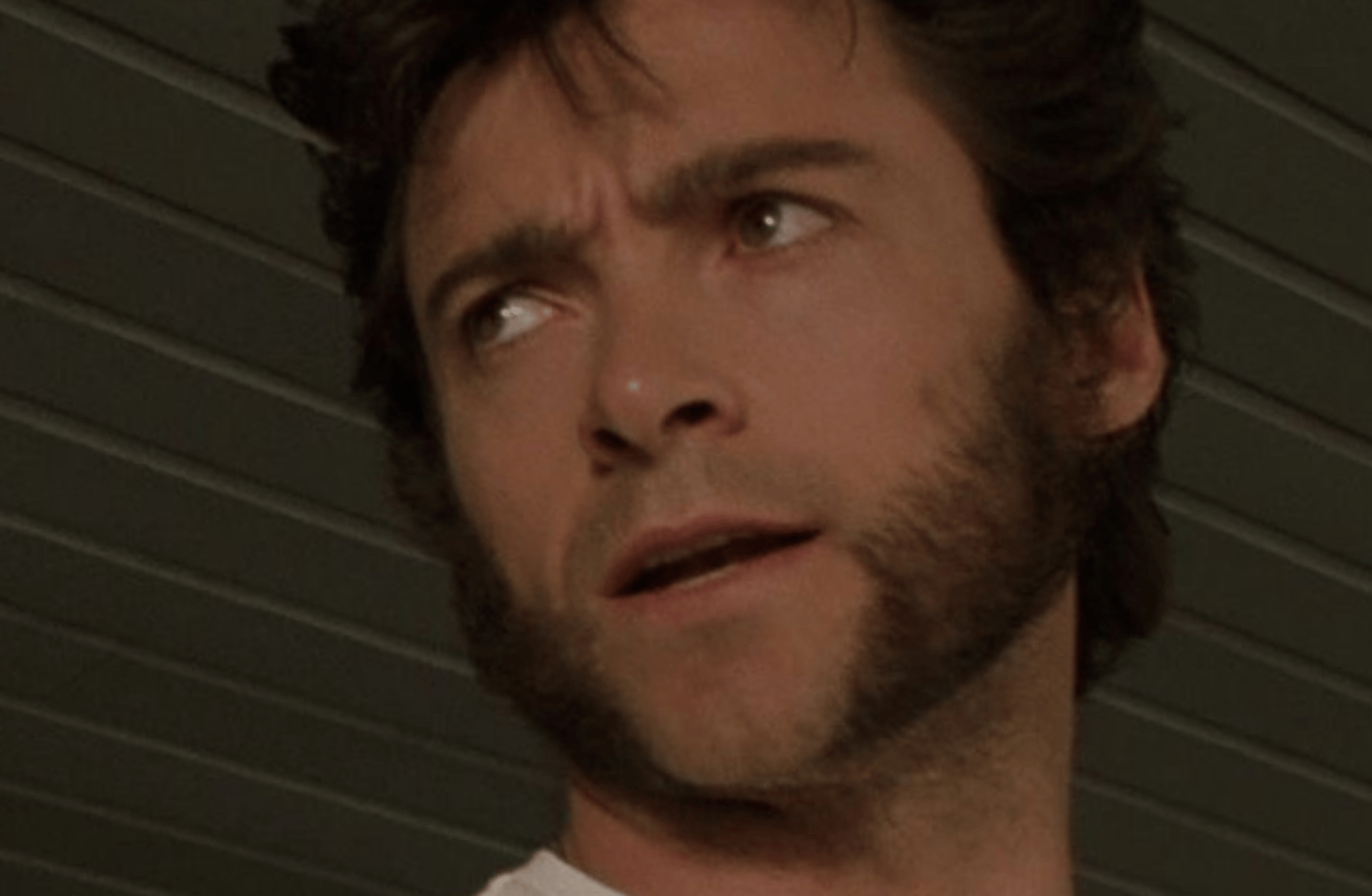 Wolverine