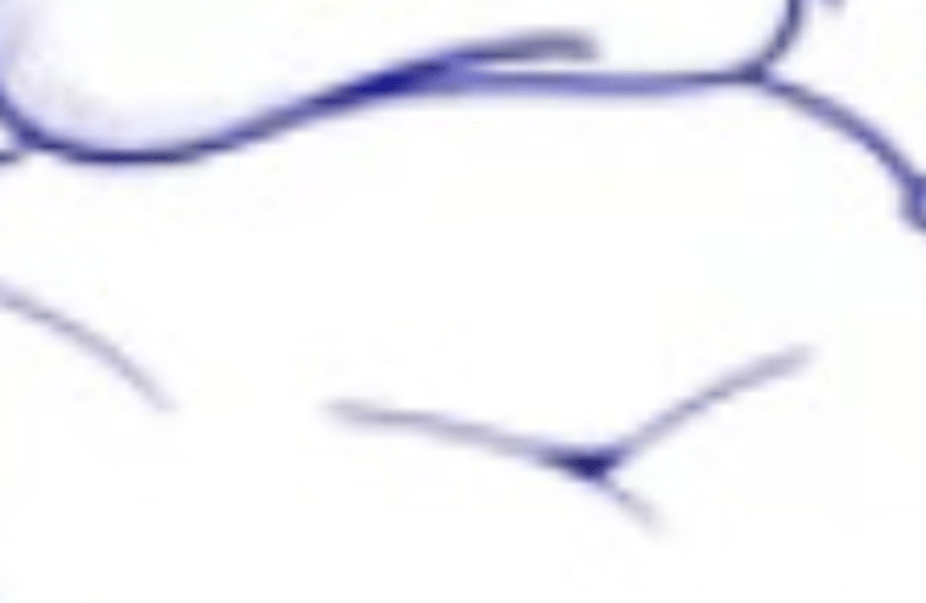 Fat skyblue
