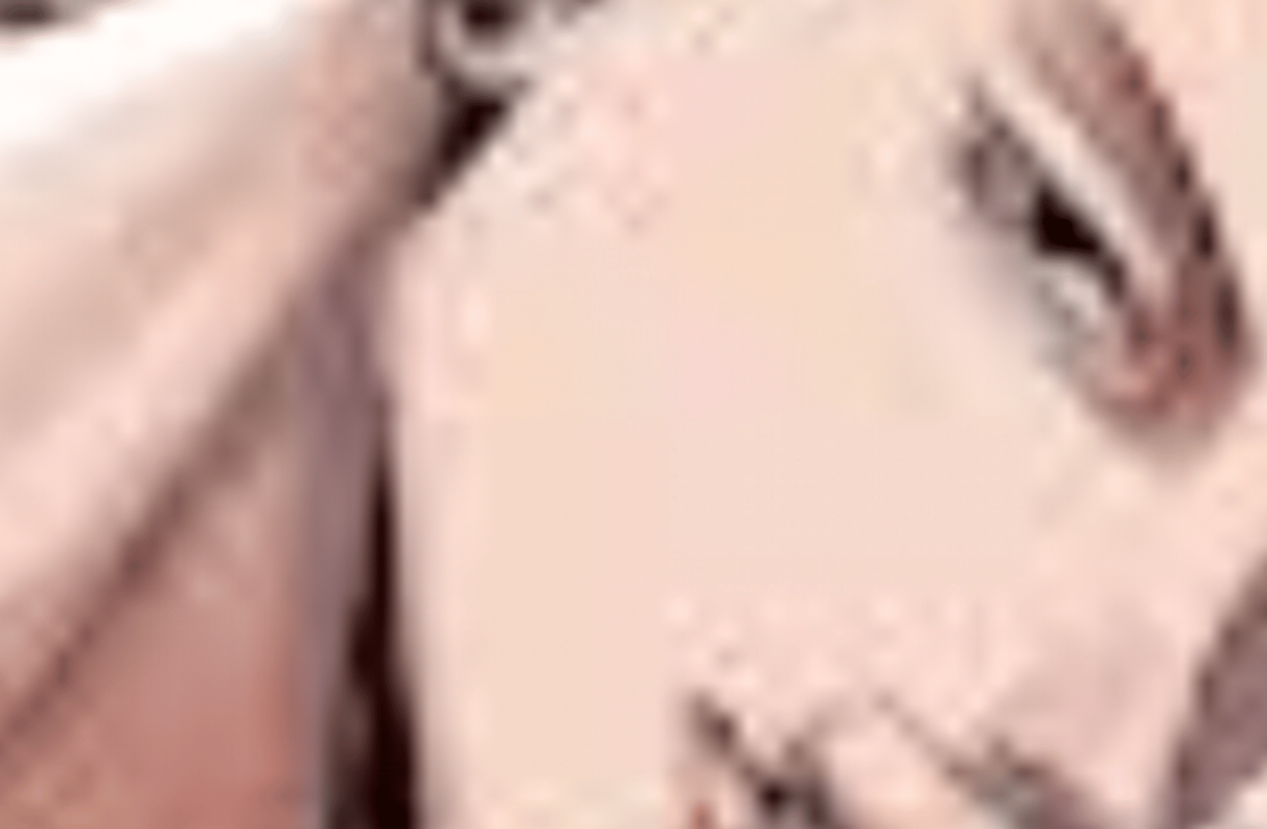 Gojo, Geto, Nanami, Toji