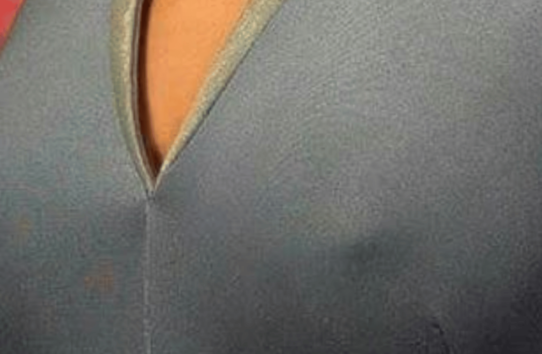T'Pol