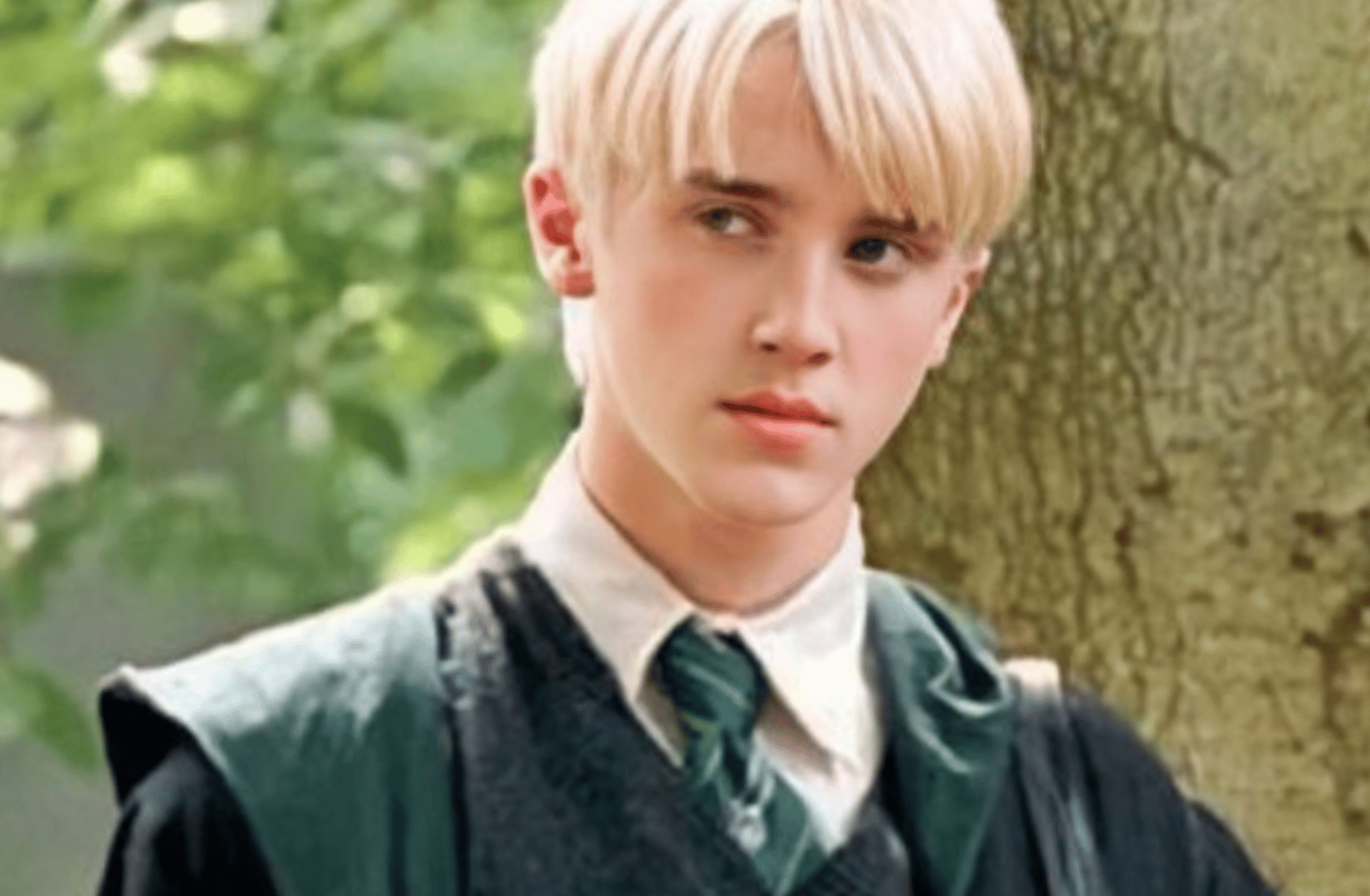 Draco malfoy bully