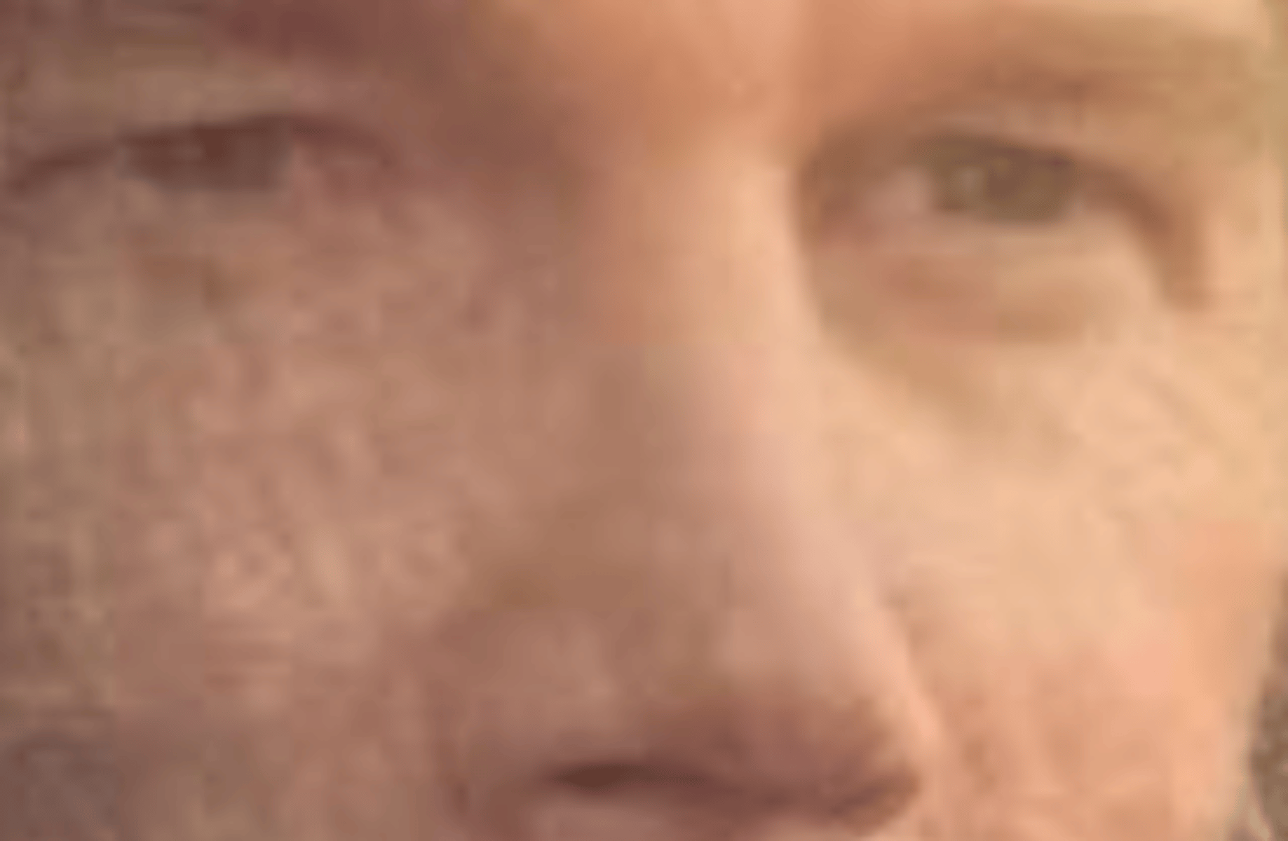 Rosa Parks (Chris Pratt)